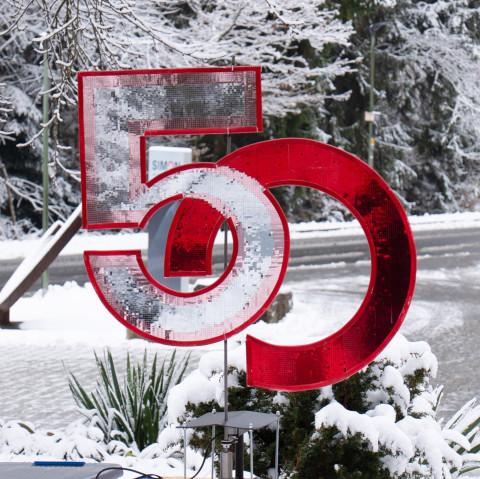 _DSC817_20260227-115904_1